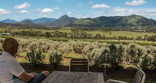 Current state and future outlook. Prestige Day Tours Brisbane