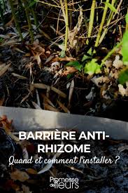 Elle est très résistante et spécialement conçu pour les bambous. Comment Installer Une Barriere Anti Rhizome Promesse De Fleurs