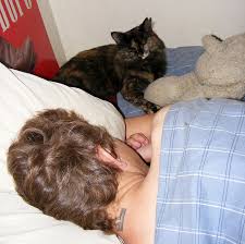 My cat died what do i do. My Cat Died In My Bedroom While I Was Still Sleeping How Do I Stop Feeling Guilty About This And Move On Success Life Lounge