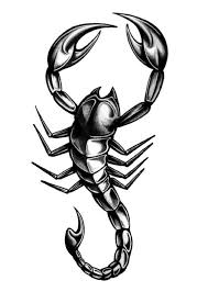 Scorpio astrology sign tattoo for feet. 70 Scorpion Tattoos And Ideas With Meanings