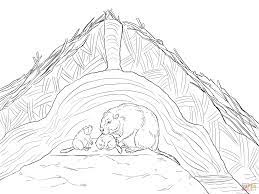 Downloads are subject to this site's term of use. Beaver Lodge Coloring Page Supercoloring Com Beaver Lodge Free Printable Coloring Pages Coloring Pages