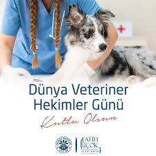 En eski mesleklerden biri olan ve her yıl aynı tarihlerde kutlanan dünya veteriner hekimler günü ne zaman? Fatih Ucok On Twitter Tum Veteriner Hekimlerimizin Dunya Veteriner Hekimler Gunu Nu Tebrik Eder Calismalarinda Basarilar Dilerim Veterinerhekimlergunu Https T Co Izqdqq64bh