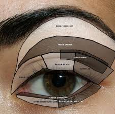 Applying eyeshadow is very important for eye makeup but you must know how to apply eyeshadow. Ac 5852 On Eyeshadow Diagram How To Apply Eyeshadow Smokey Eye How To Apply Free Diagram