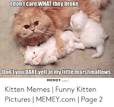See more ideas about funny animals, funny cats, cute animals. 25 Best Memes About Kitten Memes Funny Kitten Memes Funny Memes