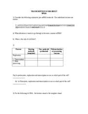 Caugcgcauauggcuguaag codons transcribed image text from this question. 35 Mrna And Transcription Worksheet Worksheet Resource Plans