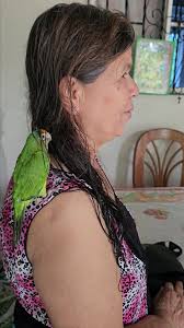 Mejor comamos sandías 🍉 😅 #humor #watermelon #paratiiiiiiiiiiiiiiiii...