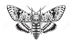 The painting actually represents an emperor moth, but van gogh mistakenly thought that it was the the death's head moth. Hand Drawn Acherontia Styx Butterfly Isolated On Blank Background Royalty Free Cliparts Vectors And Stock Illustration Image 151537582