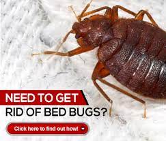 Best restaurants in miamisburg, miami township. Dayton S Premier Pest Control Service 937 222 2122