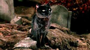 Marmalade the cat uses the toilet and flushes when he is done!! The 12 Best Movie Cats Of All Time Indiewire Critics Survey Indiewire