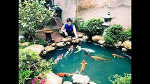 Thank you for reading the. Top 6 Diy Indoor Koi Pond Ideas Beautiful Inside Backyard Koi Pond Youtube