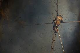 Gurung Honey Hunters Andrew Newey Photography Film Breathtaking Photography Cool Photos Hunter