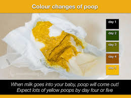 I started getting loose stools every day. Breastfed Baby Poop Breastfeeding Support