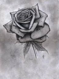 Rosa Con Gocce D Acqua Disegno Di Una Rosa Sfumature Con Matita Disegno Di Una Rosa Disegni Come Disegnare