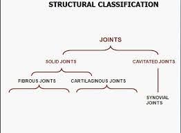 Image Result For Structural Joint Classification