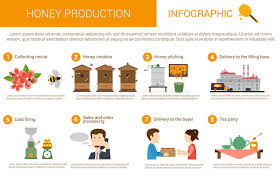 honey process stock illustrations 159 honey process stock