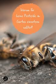 Pestizide Warum Sie Im Garten Nichts Verloren Haben Plantura Buchsbaumzunsler Schadlinge Im Garten Garten