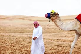 I felt this book had a few interesting facts about camels, but was too minor without enough detail. Dubai With Kids 19 Fun Things To Do For The Whole Family