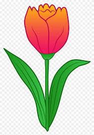 Check spelling or type a new query. A Simple Drawing Of Peony Tulip Coloring Peony Flower Clipart Stunning Free Transparent Png Clipart Images Free Download