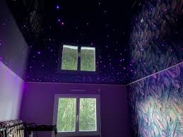 Optez pour la qualité avec des toiles 100% fabrication française, du sérieux de la minutie et la compétence d'un vrai poseur à votre. Les Plafonds Tendus De L Ouest Specialiste Plafond Tendu Dans Le Morbihan Et Ses Environs