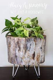 Make sure the rubber bands are tight so the. Modern Tree Stump Planter Stacy Risenmay Tree Stump Planter Diy Planters Diy Wood Planters