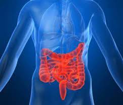 What organ is behind your right lower rib and cup hood… Here S What It Means If You Have Pain Under You Right Rib Cage