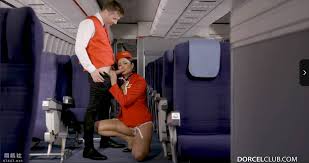 磁力20.1G】法国啄木鸟2024年剧情电影4K Amuse bouche - 欧美视频- 司机社