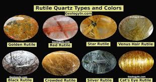 Image result for Rutidea