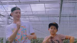 Snollebollekes & @863181737161759:274:kalvijn duo loepzuiver it's going to. Noah Scoort Weer Een Hit Met Kalvijn Nos Jeugdjournaal