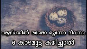 Darts Steel Tips                    Top Health Tips Malayalam