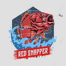 Pngtree has millions of free png, vectors and psd graphic resources for designers.| 2562202. Angler Fish Red Snapper Artwork Vector Angler Anglerfish Angling Png And Vector With Transparent Background For Free Download