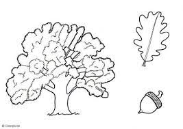coloriage chene img 5682 dibujos para colorear dibujo de arbol livres faciles pour adultes