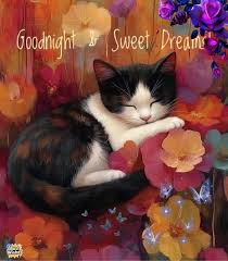 Wishing good night with cute images