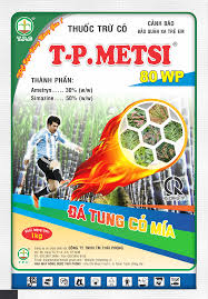 T-P.Metsi 80WP