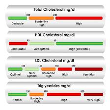 Cholesterol By Kristina Caballero Infographic