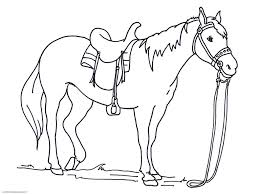 Coloring Rocks In 2020 Horse Coloring Pages Animal Coloring Pages Horse Coloring Books