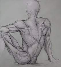 This is a more stylized study and not meant to be entirely. Back Anatomy Drawing By Ceruleanvii On Deviantart