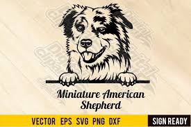 Download Border Collie Svg Cutting File Australian Shepherd Svg Cut File Clip Art Art Collectibles Kromasol Com