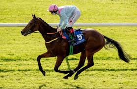 Celebs take to the green screen and more. Derryconnor Stud Katiemcgiv Twitter