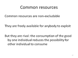 Ending saturday at 10:30am pdt. Externalities And Public Goods Ppt Video Online Download