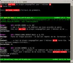 Languagetool Grammar Checker For English French German Etc In Vim Vim Online