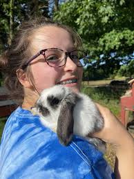 Show Quality Mini Lop Bunnies for Sale at Binky Bunny Rabbitry
