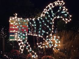 Galloping Into December With The Holiday Light Spectacular At Turtle Back Zoo Turtlebackzoo Com Zebra Turtlebackzoo Holiday Lights Holiday Instagram Posts