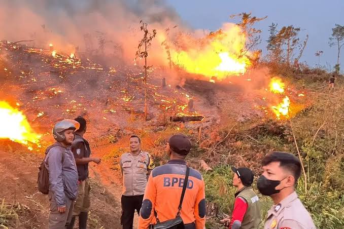 Menyebut Karhutla sebagai Terorisme Ekologi Adalah Langkah Tegas Melindungi Rakyat