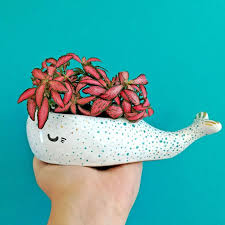 Saftiges Pflanzgefass Wal Liebhaber Topf Keramik Blumentopf Etsy Blumentopf Keramik Blumentopf Topfblumen