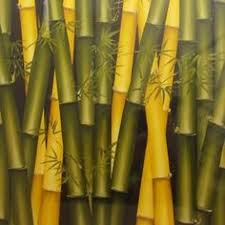 Lukisan dinding dengan teknik cipratan. 25 Kordi Gallery Ideas Gallery Art Heliconia