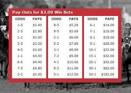 Odds Payout Chart