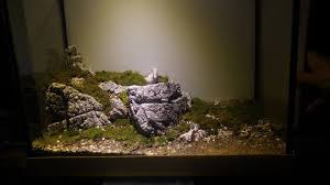 Teraryum Yapay Kaya Duzenlemeleri Ve Yosun Harcimiz Ile Istediginiz Tasarim Elinizin Altinda Tabalkon Aqua Akvaryum Dizayn Guvenc Akvaryum Terrarium Duzenleme