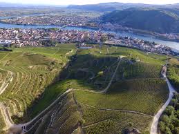 Cave De Tain Visit In Drome