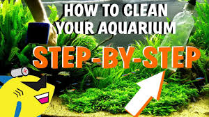 However, if you have an empty fish tank, and don't want to keep fishes anymore, there are still plenty of other old fish tank uses. How To Clean Your Aquarium Planted Tank Water Change Gravel Substrate Cleaning Youtube