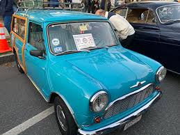 Image result for Haig Green 1929 Dodge